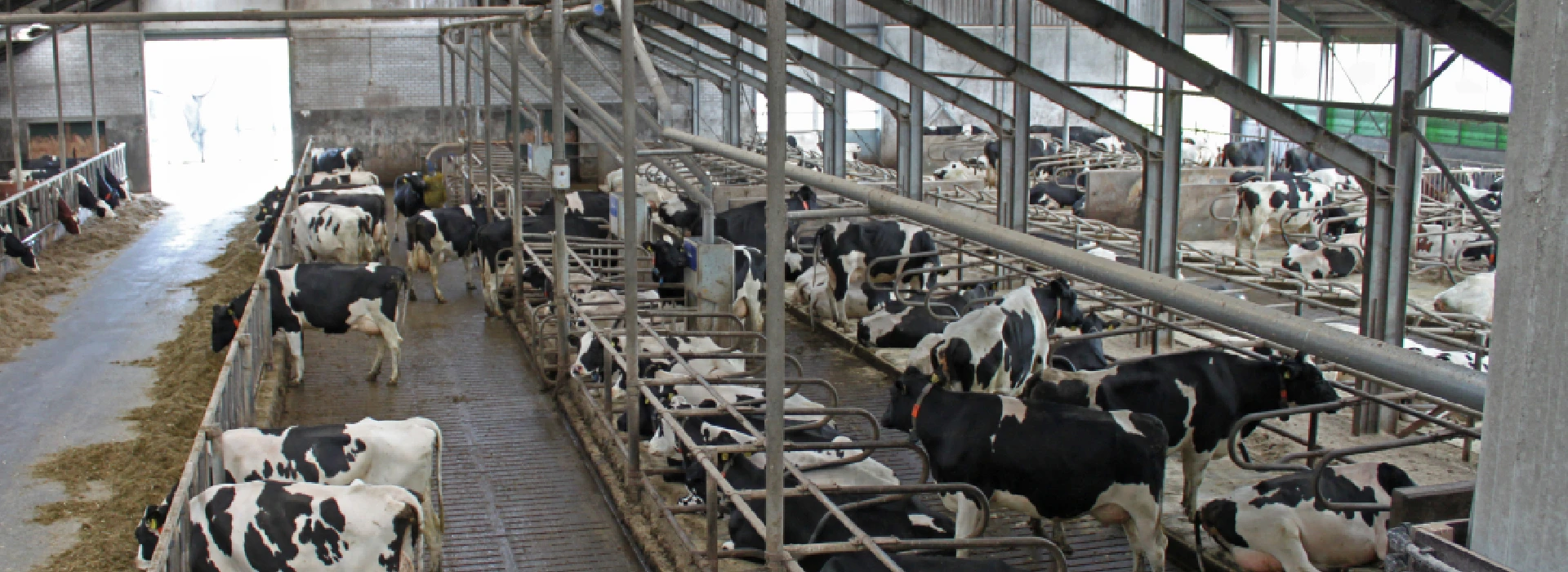 Emissiearme stalsystemen