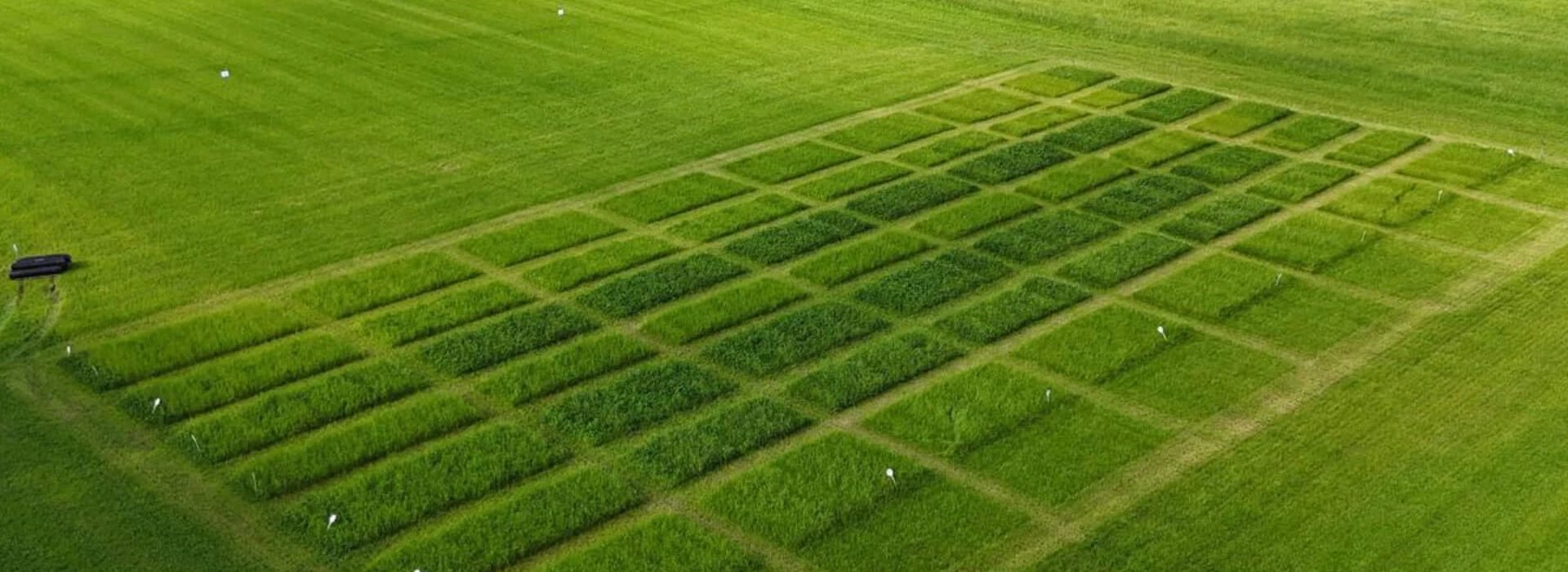 Grasdemoveld AgruniekRijnvallei - bovenaanzicht