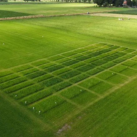 Grasdemoveld AgruniekRijnvallei - bovenaanzicht