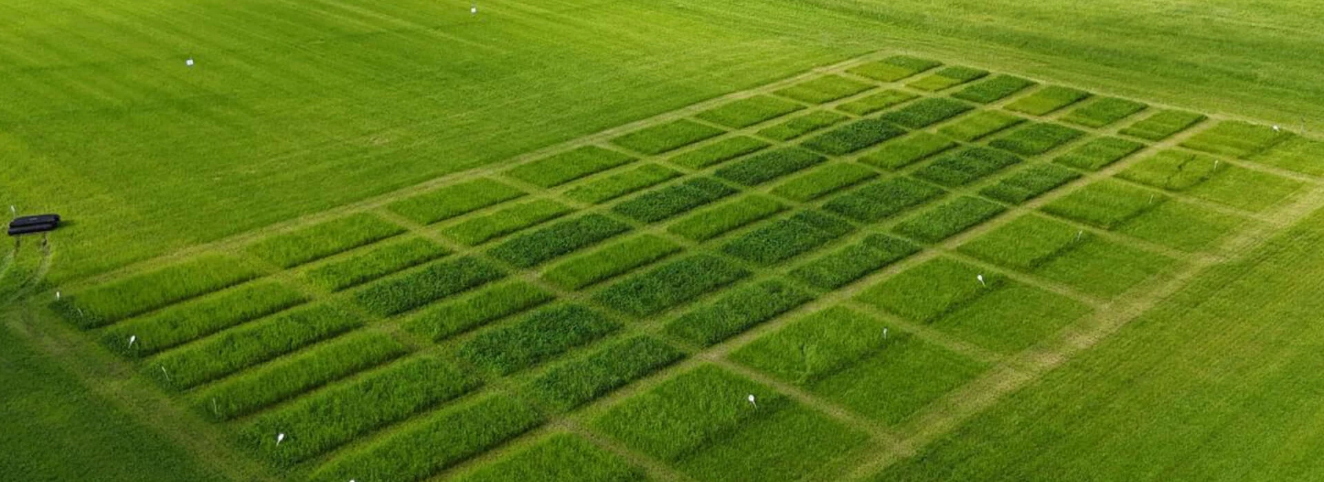 Grasdemoveld AgruniekRijnvallei - bovenaanzicht
