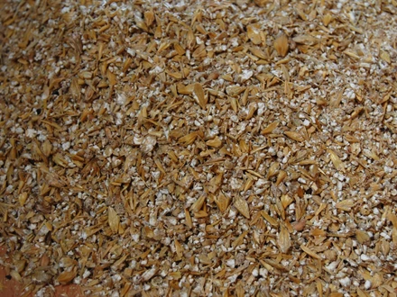Maxammon Grain Gerst