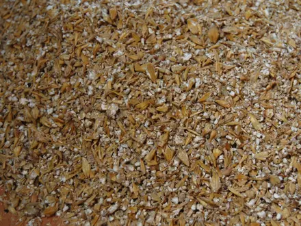 Maxammon Grain Gerst 