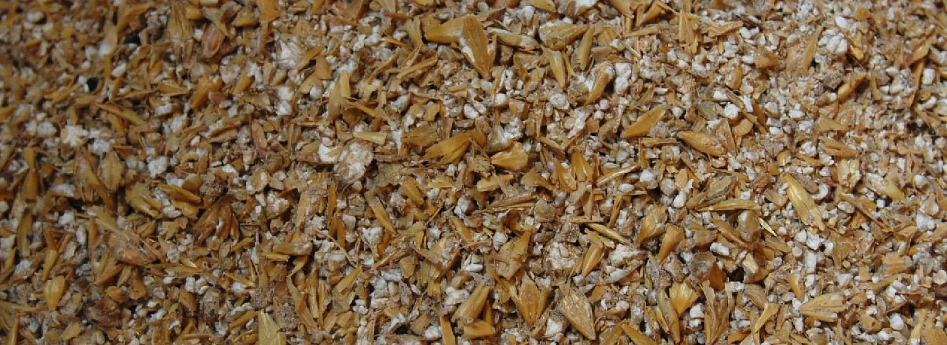 Maxammon Grain Gerst