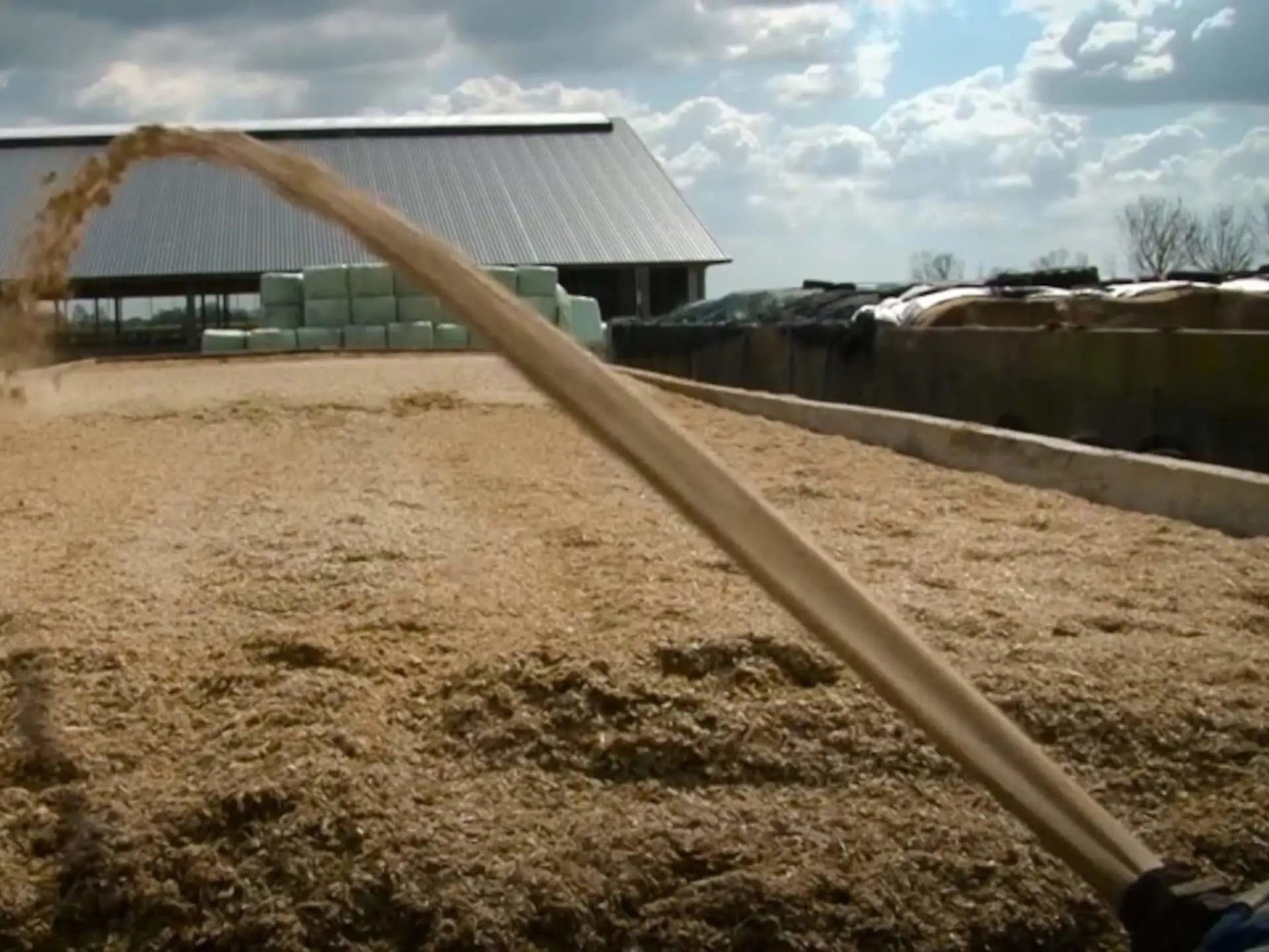 Sleufstillo afdekken met aardappelstoomschillen