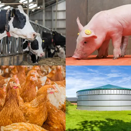 Bedrijfsontwikkeling