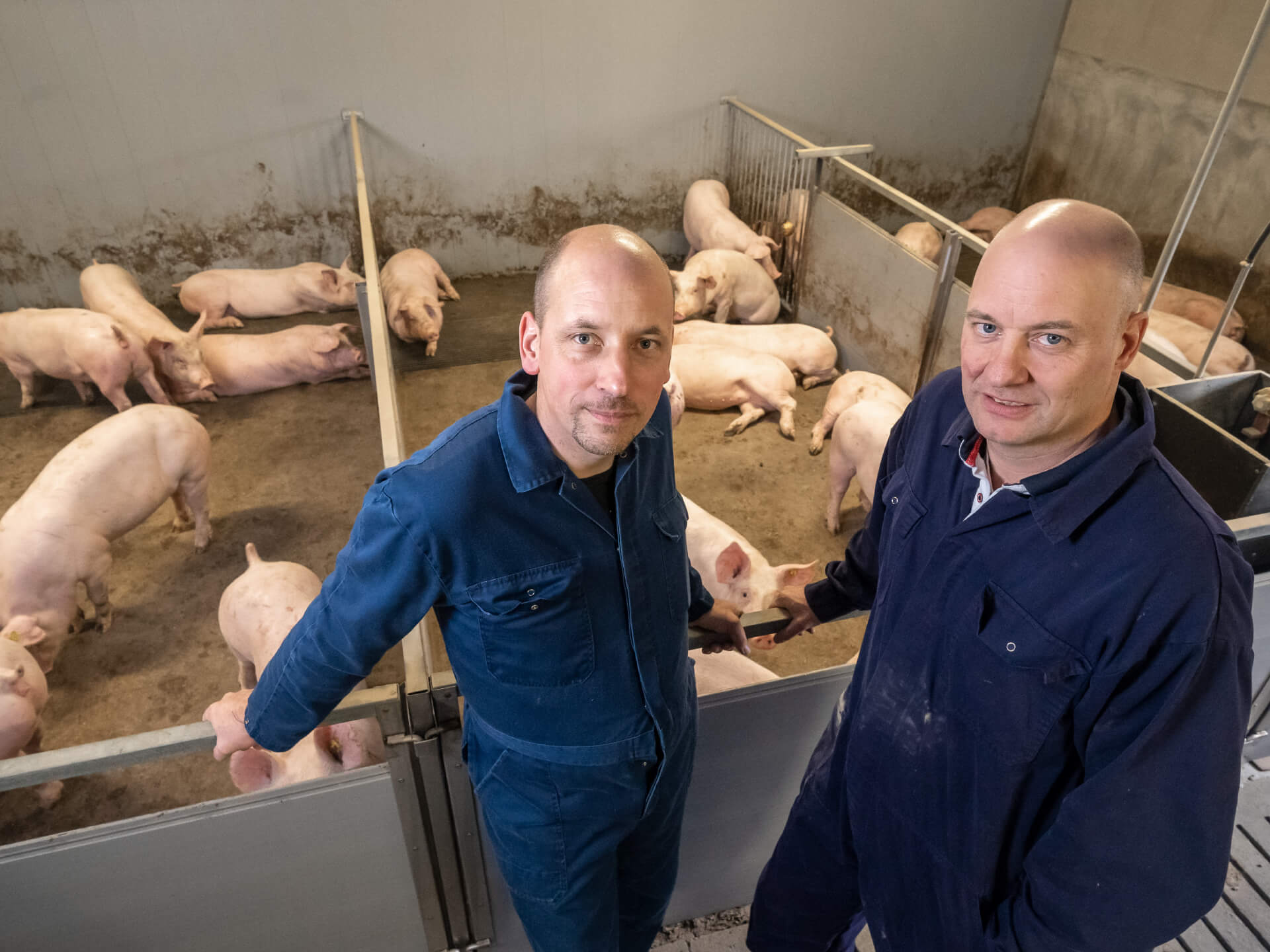 André Kamp met vleesvarkenshouder Wijnand van de Mheen