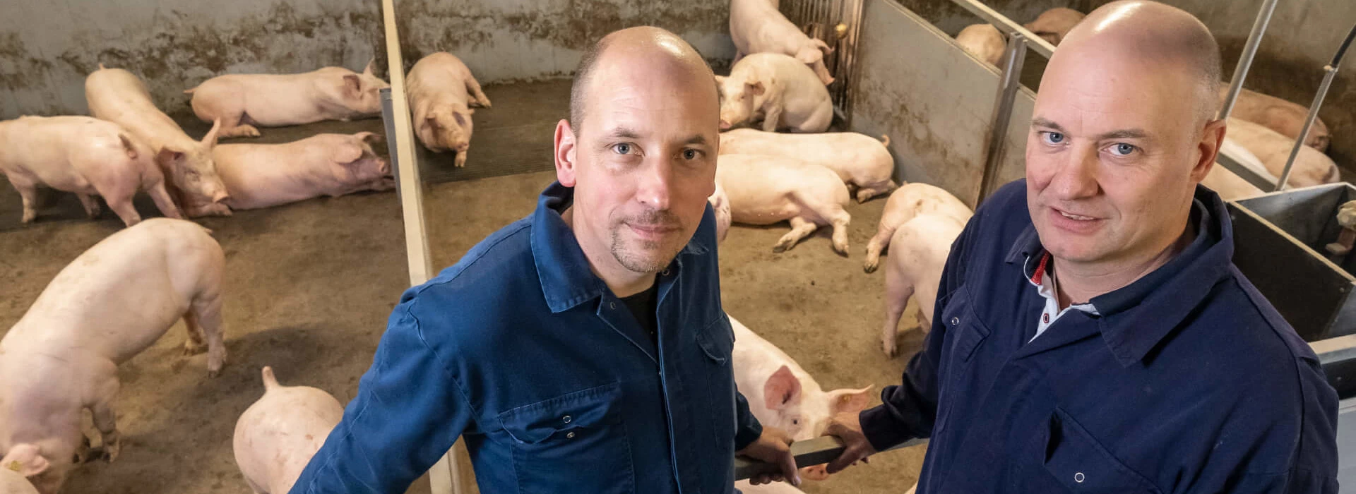 André Kamp met vleesvarkenshouder Wijnand van de Mheen