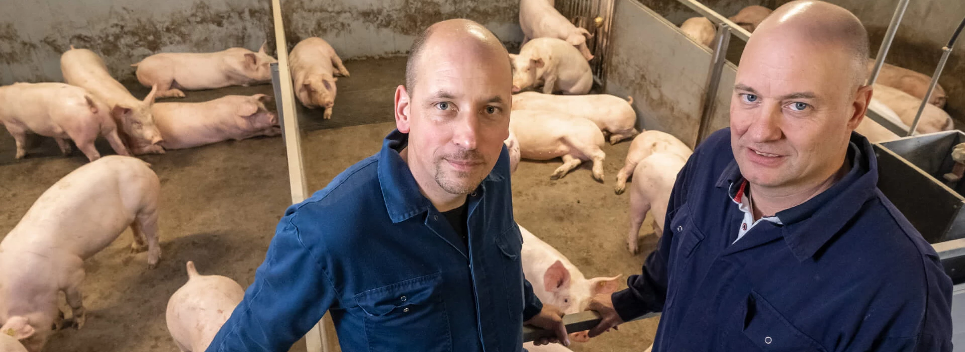 André Kamp met vleesvarkenshouder Wijnand van de Mheen