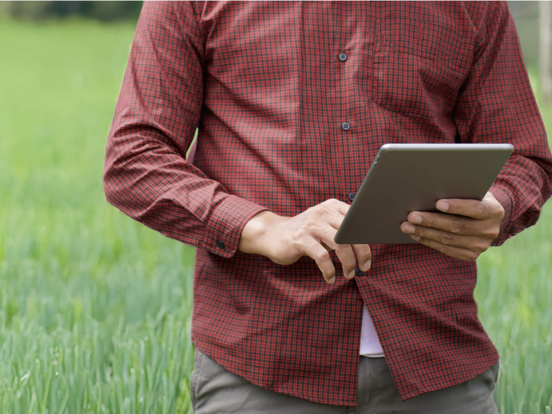 AGL Bedrijfsontwikkeling