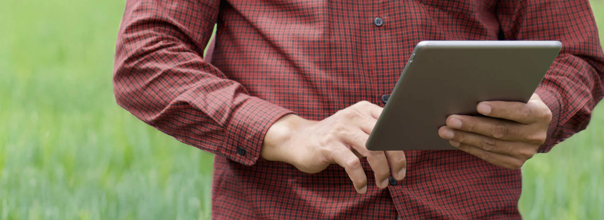 AGL Bedrijfsontwikkeling