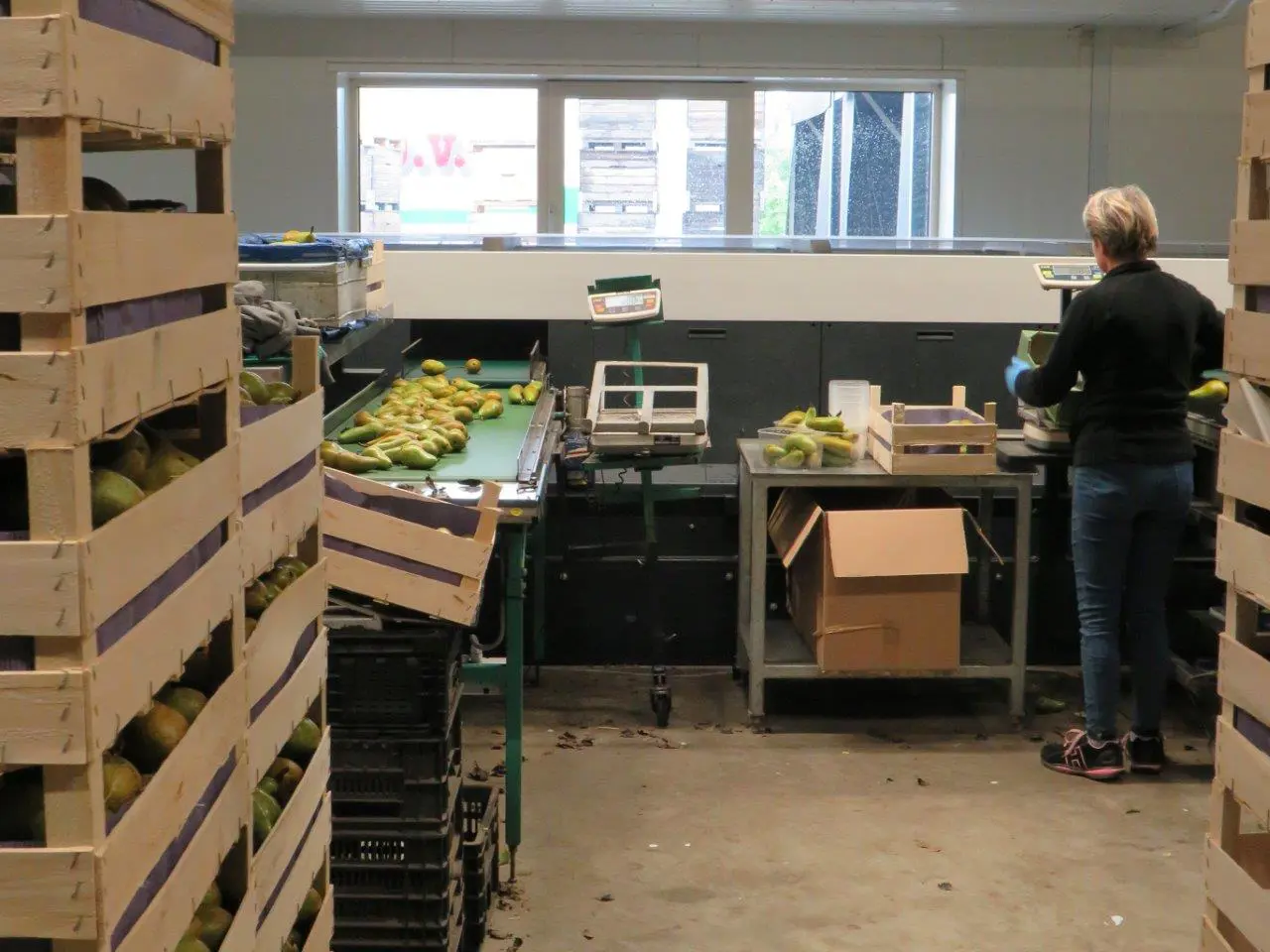 Fruitteeltbedrijf Van Dijk