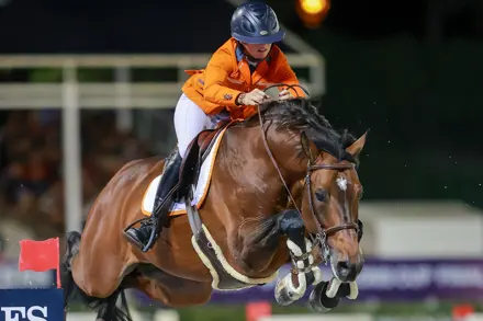 Kennisbijeenkomst paardenhouderij 2026