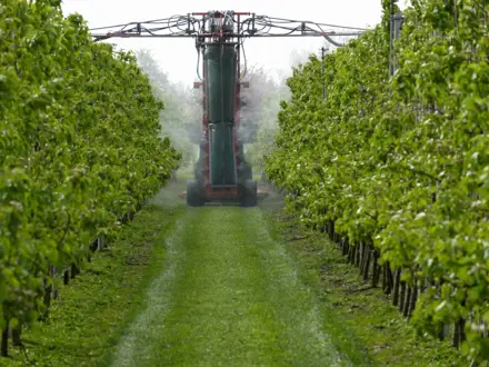 Gewasbescherming fruitteelt
